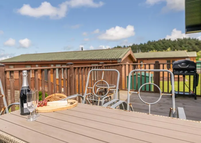 55 Meadow View Lodge - 3 Bed-Sleeps 6-Tjs55Mv